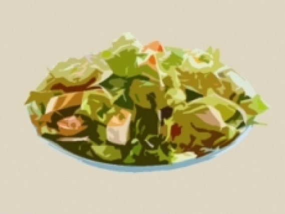 Grüner Salat (100)